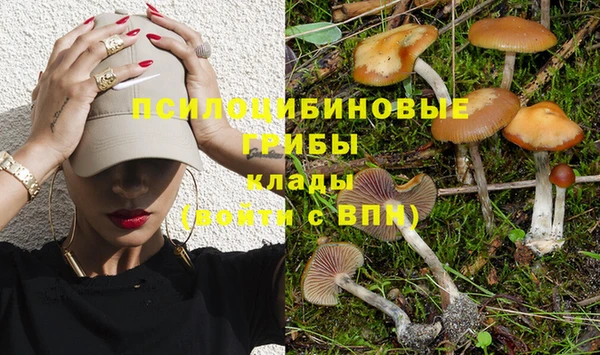 гашишное масло Новокубанск