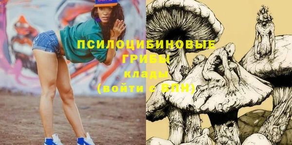 ПСИЛОЦИБИНОВЫЕ ГРИБЫ Няндома