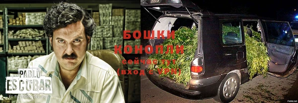 дмт Вяземский