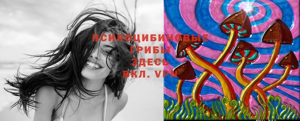 ПСИЛОЦИБИНОВЫЕ ГРИБЫ Няндома