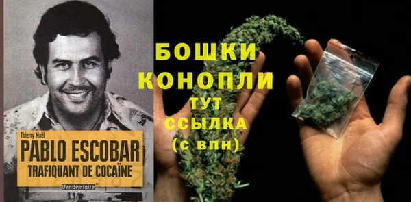 ПСИЛОЦИБИНОВЫЕ ГРИБЫ Нягань