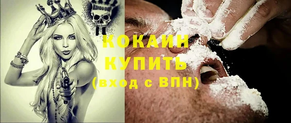 ГАЛЛЮЦИНОГЕННЫЕ ГРИБЫ Новозыбков