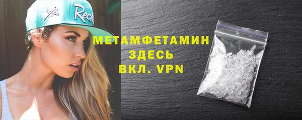 прущие грибы Вязники