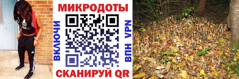 Псилоцибиновые грибы Cubensis  гидра   Урюпинск 