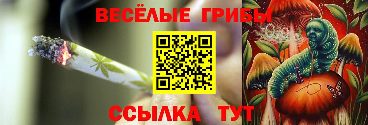 Галлюциногенные грибы GOLDEN TEACHER  Вход с VPN  Урюпинск 